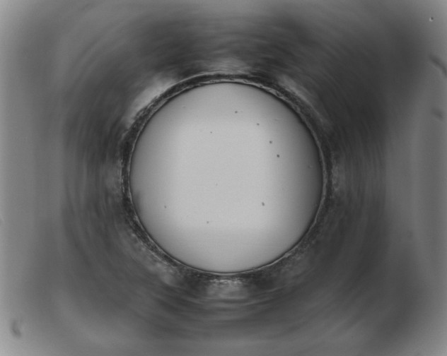 X0000103901315200809191229