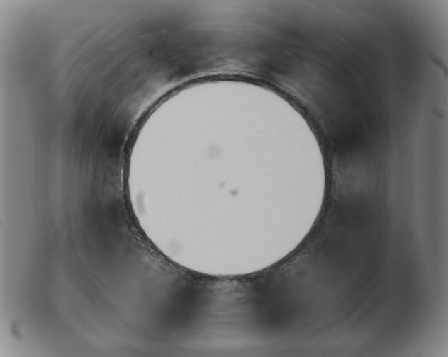 X0000103901316200809191229