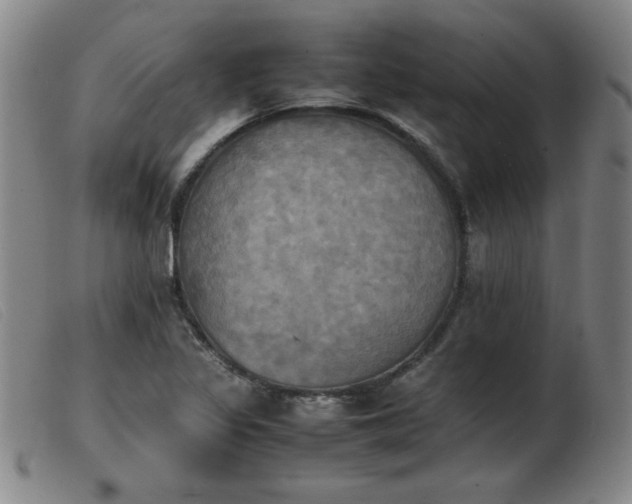 X0000103901317200809191229