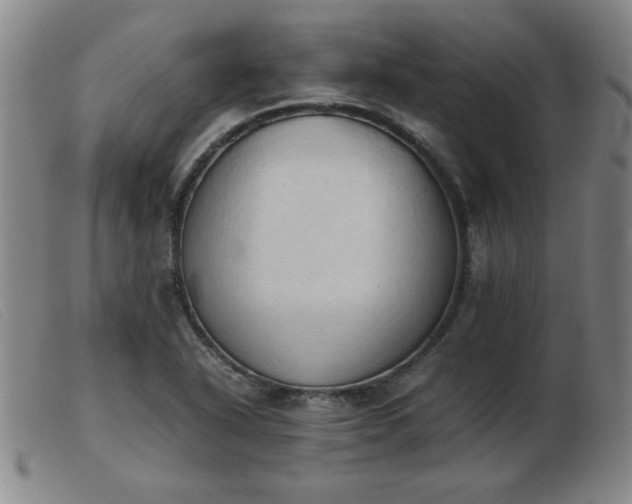 X0000103901318200809191229