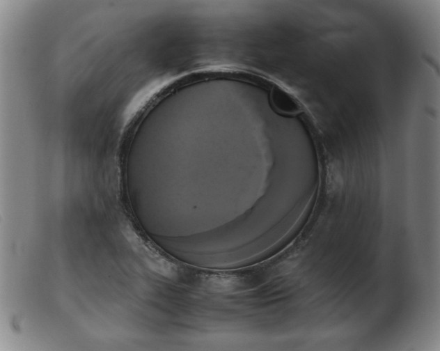 X0000103901319200809191229
