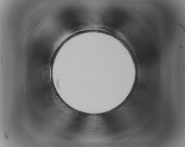 X0000103901320200809191229
