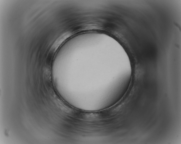 X0000103901321200809191229