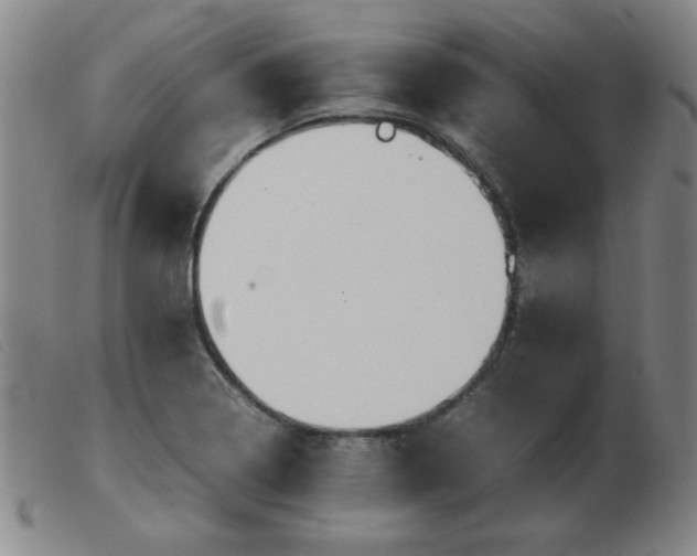 X0000103901322200809191229