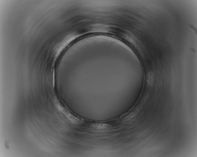 X0000103901323200809191229