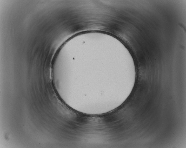 X0000103901324200809191229