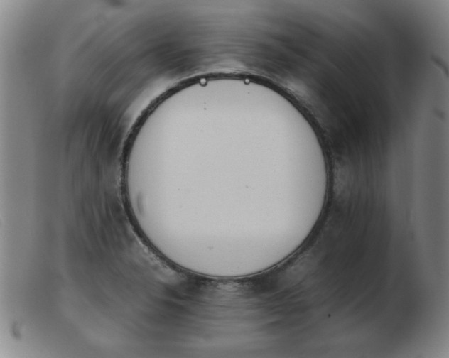 X0000103901326200809191229