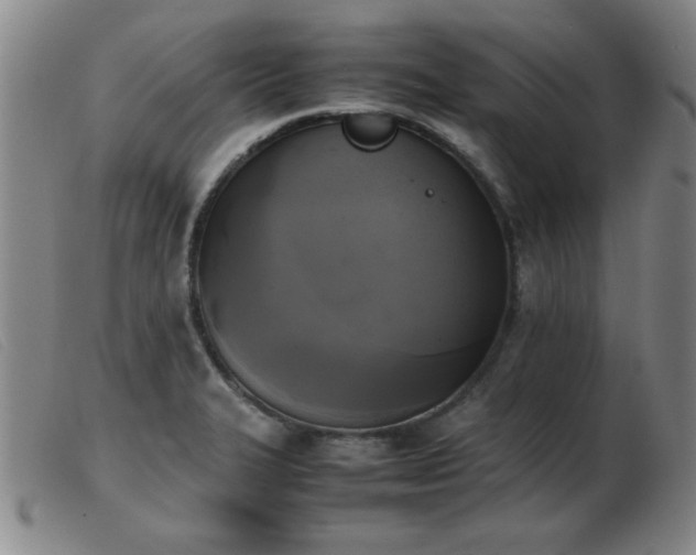 X0000103901327200809191229