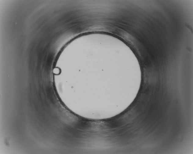 X0000103901328200809191229