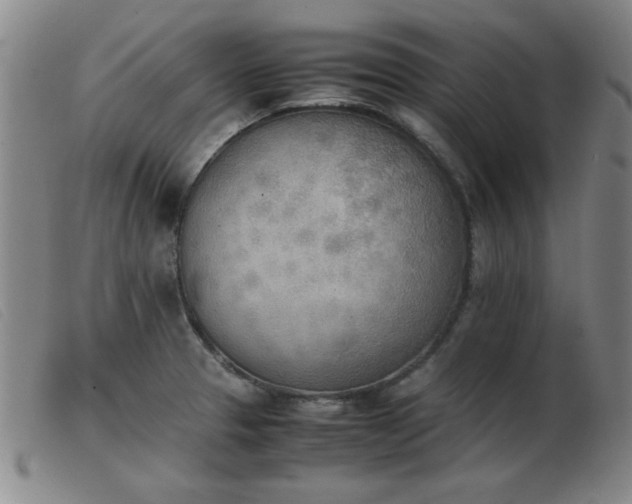 X0000103901329200809191229