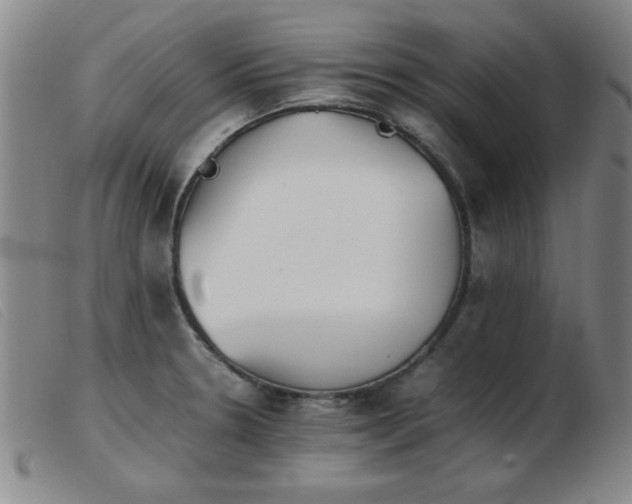 X0000103901330200809191229