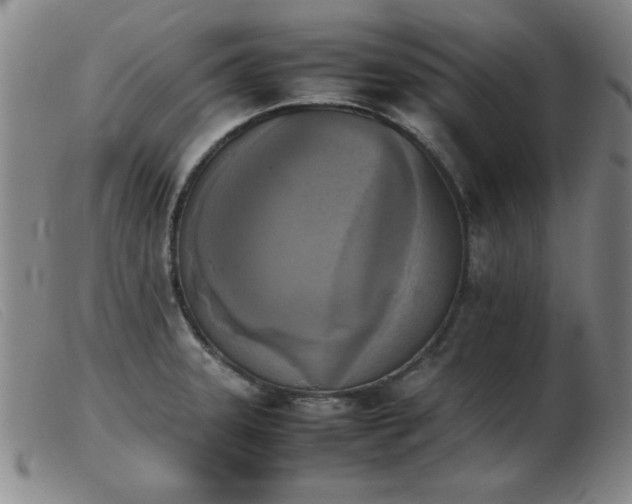 X0000103901331200809191229