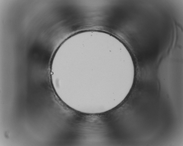 X0000103901332200809191229