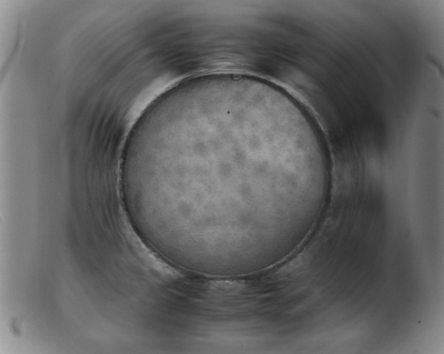 X0000103901333200809191229