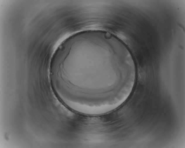 X0000103901334200809191229