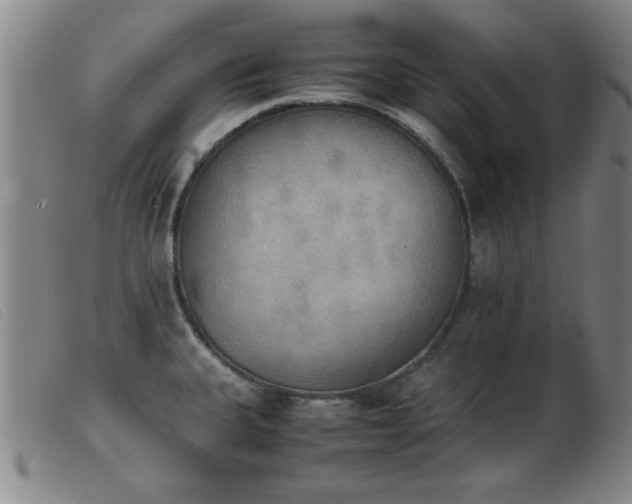 X0000103901335200809191229