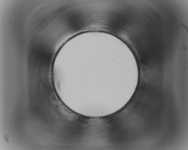 X0000103901336200809191229