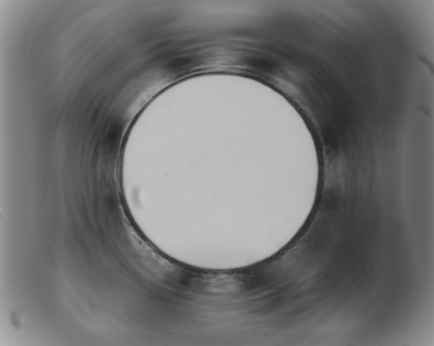 X0000103901338200809191229