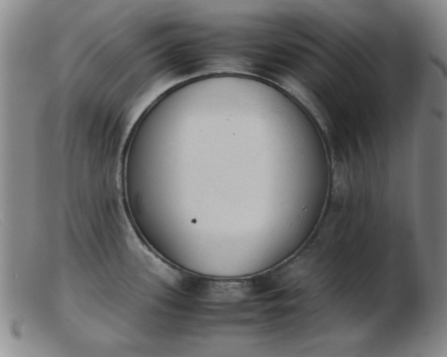 X0000103901339200809191229