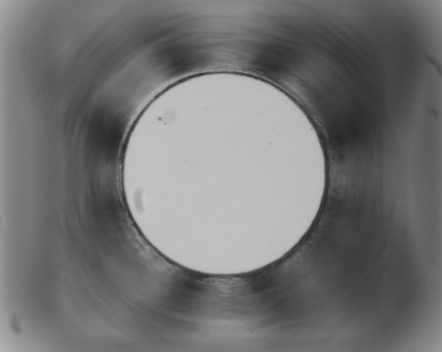 X0000103901340200809191229