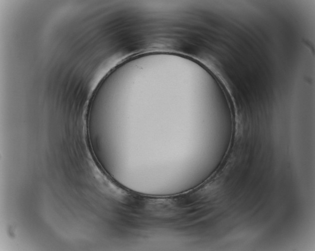 X0000103901341200809191229