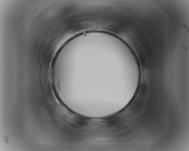 X0000103901342200809191229