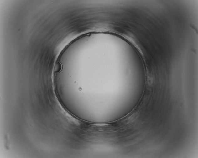 X0000103901343200809191229