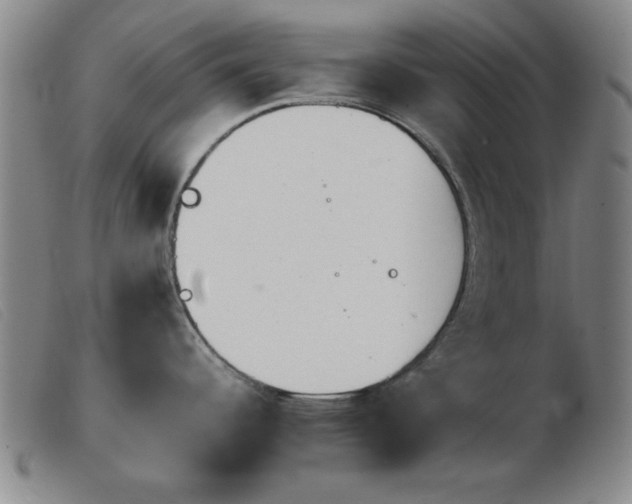 X0000103901344200809191229