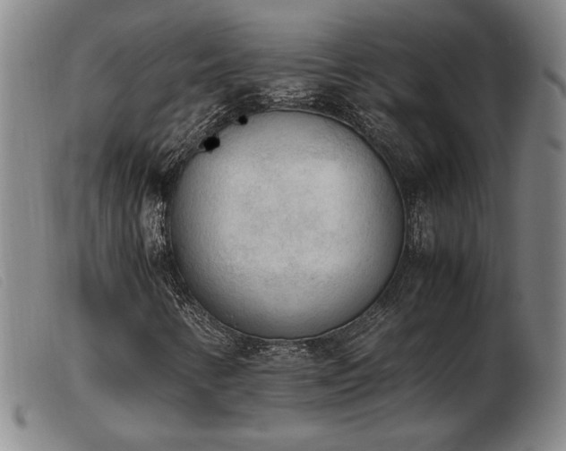 X0000103901346200809191229