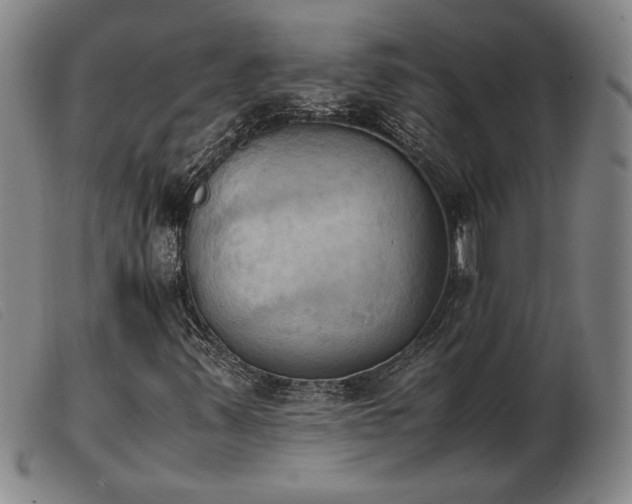 X0000103901347200809191229