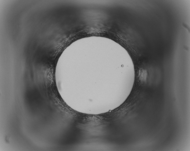X0000103901348200809191229