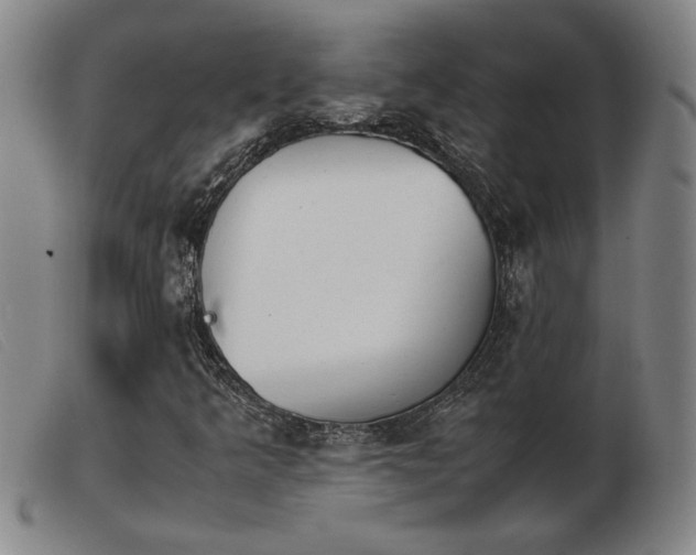 X0000103901349200809191229