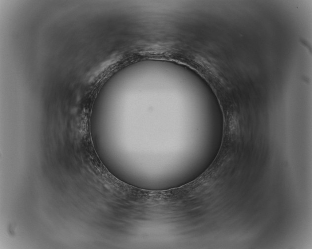 X0000103901350200809191229