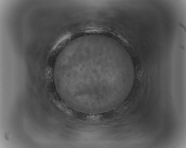 X0000103901351200809191229