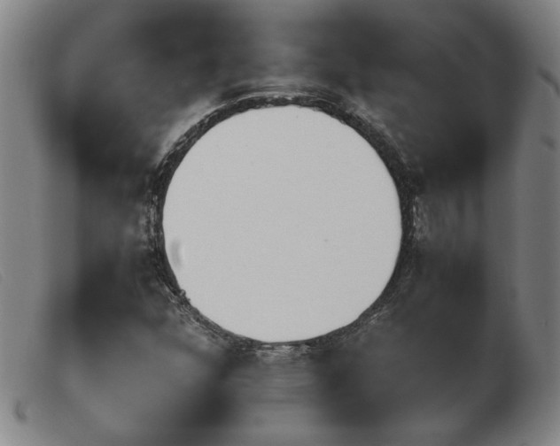 X0000103901352200809191229