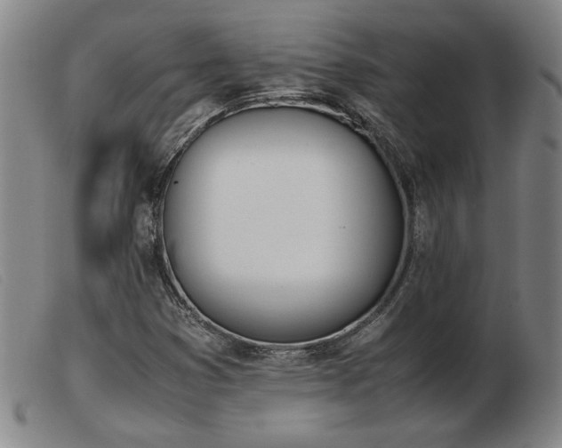 X0000103901353200809191229