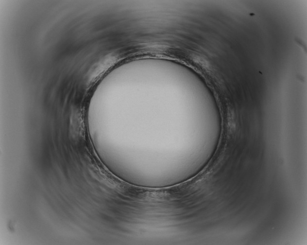 X0000103901354200809191229