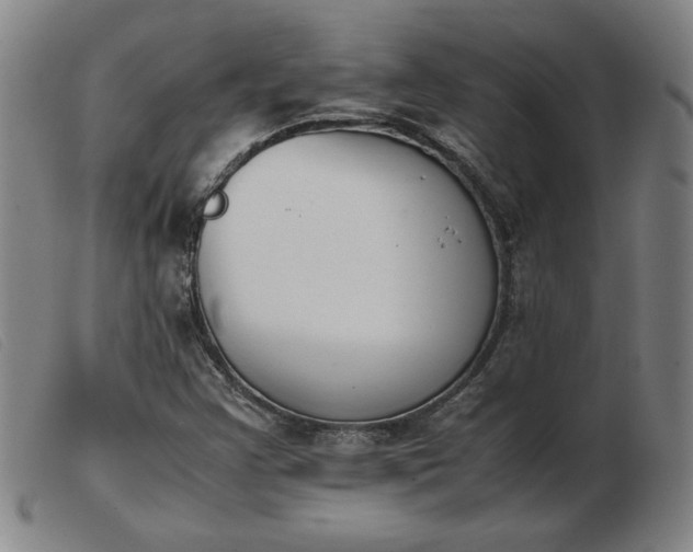 X0000103901355200809191229