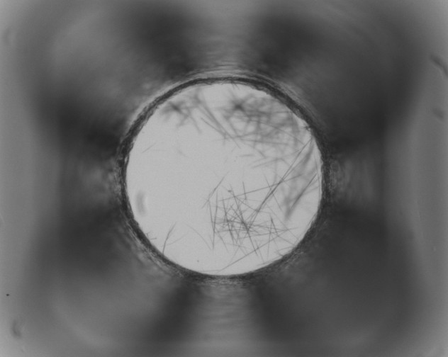 X0000103901356200809191229