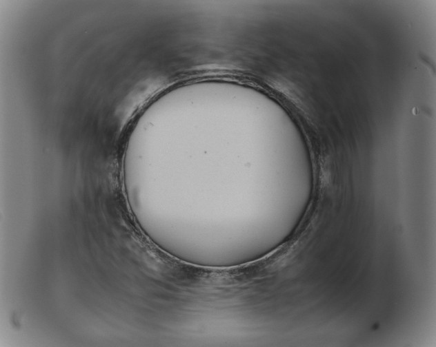 X0000103901357200809191229