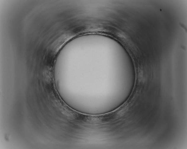 X0000103901361200809191229