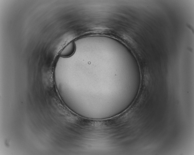 X0000103901362200809191229