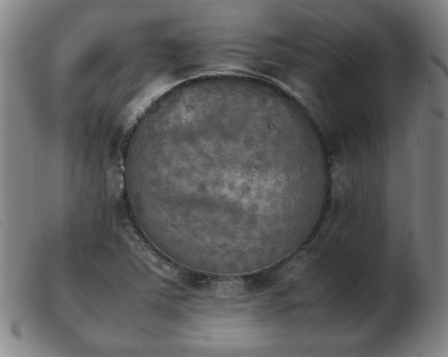 X0000103901363200809191229