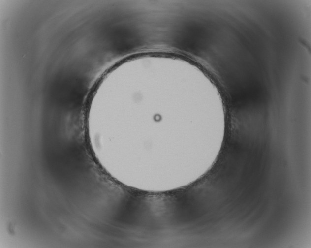X0000103901364200809191229