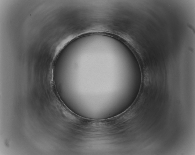 X0000103901366200809191228