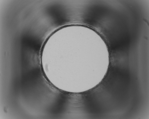 X0000103901372200809191228