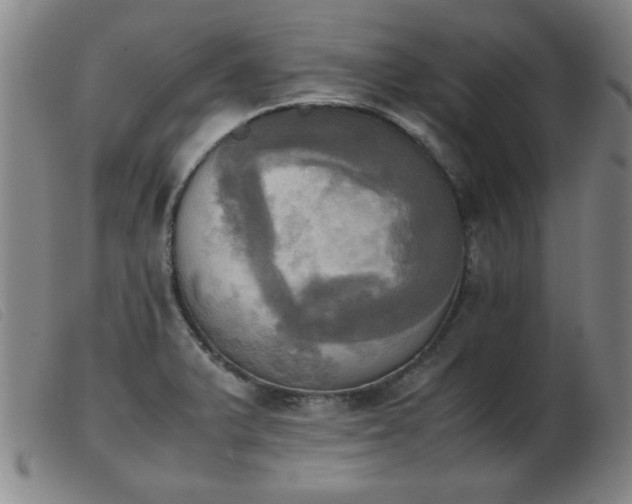 X0000103901375200809191228