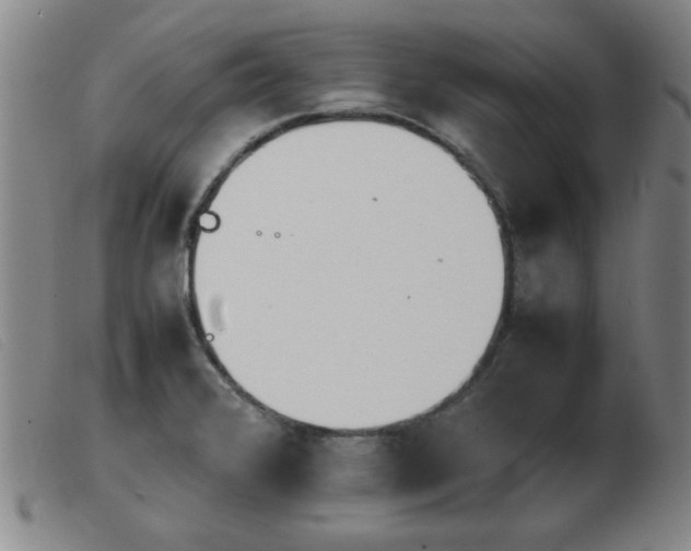 X0000103901376200809191228