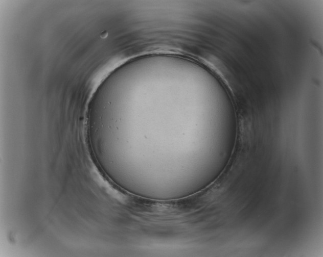X0000103901379200809191228