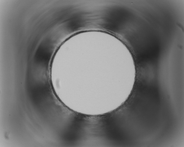 X0000103901380200809191228